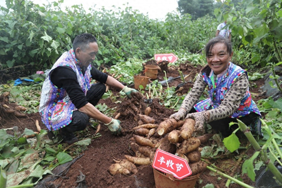 三季报露出端倪 拼多多的增长价值在这些赛道